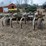 glencoe-soil-saver-image-7