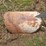 mineral-feeder-cover-image-2
