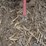 hutchinson/-mayrath-grain-elevator-damaged,-bent-tube-image-5