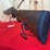 stoeger-condor-i-over-under-shotgun-.410-gauge-image-3