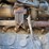 tigercat-630e-image-27
