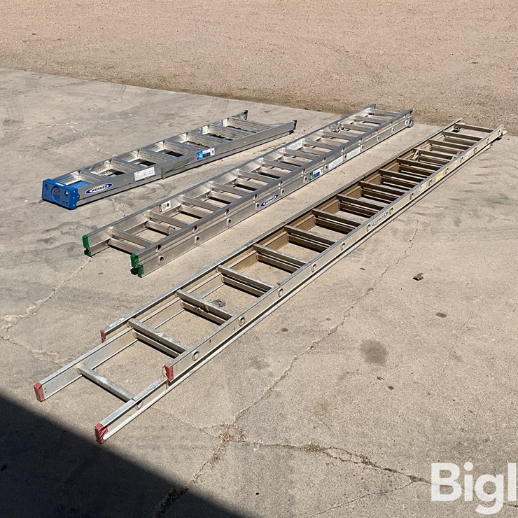 Werner Ladders
