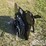 unused-2026-miva-hedge-cutter-image-3