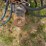 crust-buster-4030-image-2