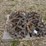2-inch-hole-crowfoot-packer-wheels-image-1