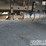2018-peterbilt-337-image-26