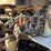 2005-international-durastar-4300-image-11