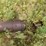 40’-speedking-auger-image-2