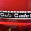 international-cub-image-9