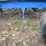 dmi-gravity-wagon-image-8