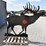 elk-shooting-target-44989-image-2
