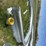 20ft-x-30ft-steel-building-image-11