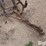 john-deere-3-bottom-plow-image-9