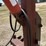 shop-built-3-pt-10’-hydraulic-hoist-image-14