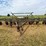 john-deere-1600-image-1