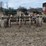 glencoe-soil-saver-image-6