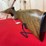 new-haven-model-283ta-.410-gauge-bolt-action-shotgun-image-2