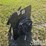 unused-2026-miva-hedge-cutter-image-1