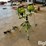 power-light-flood-light-tripod-image-7