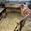 new-holland-273-image-2