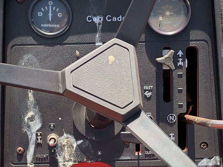 international-cub-image-12