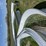 20ft-x-30ft-steel-building-image-13