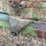 john-deere-730-image-19