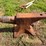 anvil--26”-long-image-5