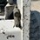 bobcat-742b-image-11