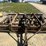 john-deere-cultimulcher-571-image-6