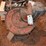 grain-bin-spreader-image-1
