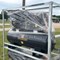 statewide-texas-government-truck-&-equipment-timed-online-auction-image-5