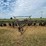 john-deere-1600-image-2