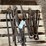 dual-bolts-image-1
