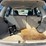 2012-ford-escape-image-17