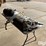 ironton-air-cheetah-tire-equipment-image-5
