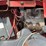 massey-ferguson-6-image-14