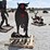 bull-shooting-target-44991-image-2