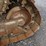 1999-caterpillar-d6m-xl-image-29