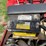 international-cub-image-41