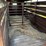 livestock-trailer-542-image-5