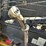 new-holland-l230-image-20