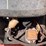 international-cub-image-24