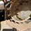 2022-bobcat-t770-image-9