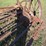 new-idea-4-image-13