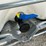 water-tank-tote-image-6