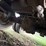 2008-wilson-livestock-trailer-image-87