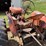 allis-chalmers-wd-tractor-image-24
