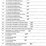 rigging-prices-for-equipment-image-8