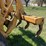 caterpillar-12f-image-20